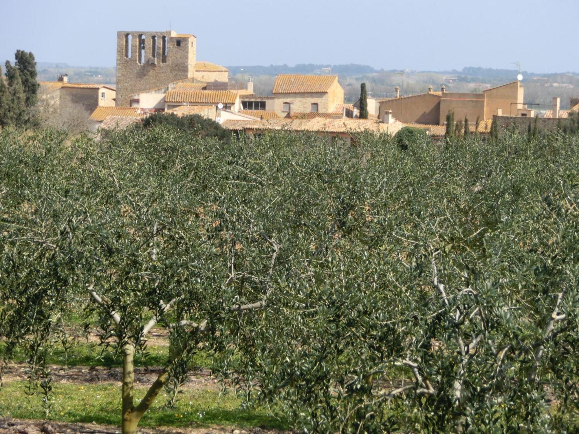 Can Barrull-Costa Brava-Emporda Sant Feliu de Boada Exterior photo